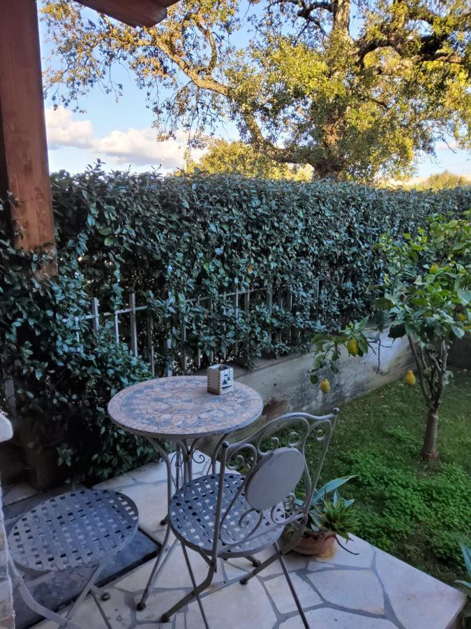 Lulamax Sardegna Olbia Exteriör bild